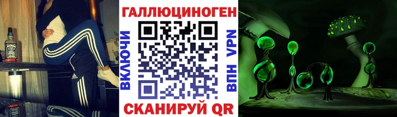 Псилоцибиновые грибы Psilocybine cubensis  shop Telegram  Каменск-Шахтинский 